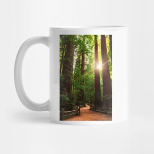 Redwood Forest Mug